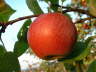 Dscf0013